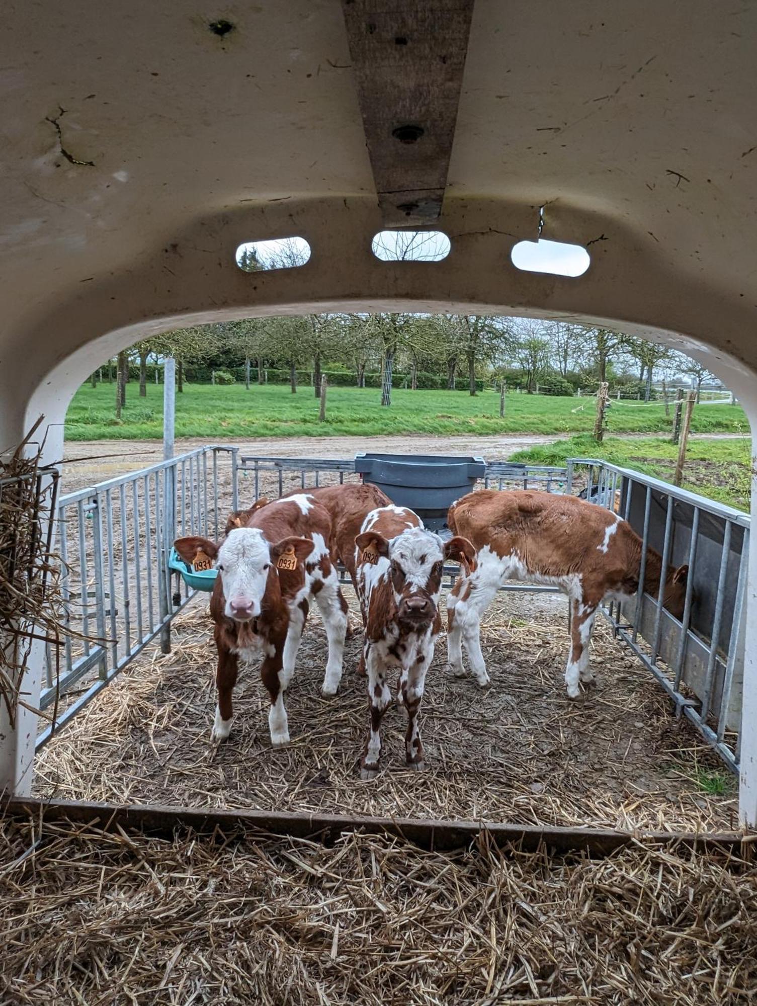 Le TeilleulFerme De La Gortiere住宿加早餐旅馆 外观 照片
